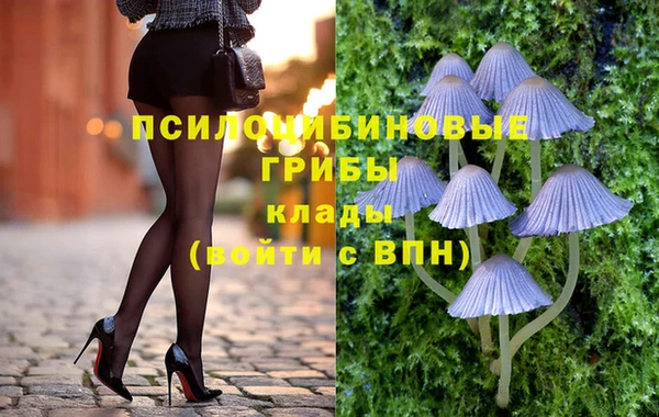 гидра Баксан