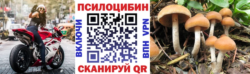 Псилоцибиновые грибы ЛСД  где найти наркотики  Кущёвская 